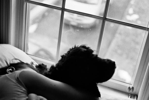 A girl lying beside a dark-haired dog at a bright window