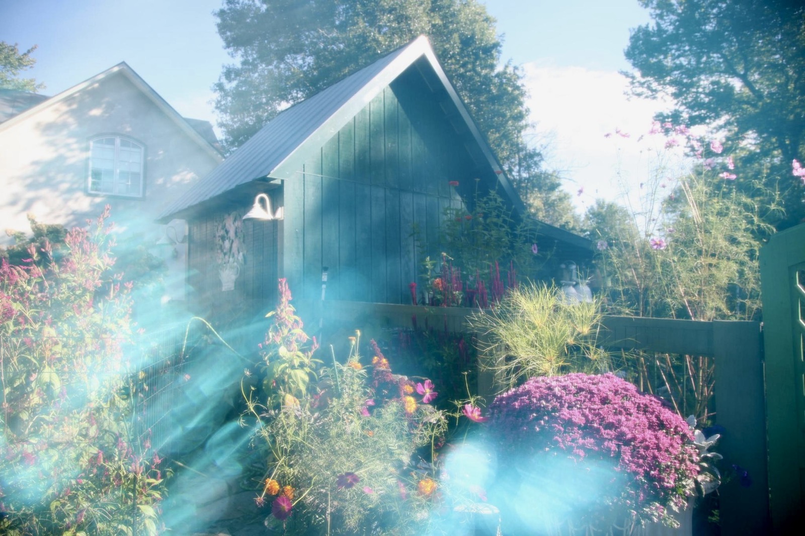 A dark green garden building and flowers crossed by turquoise light