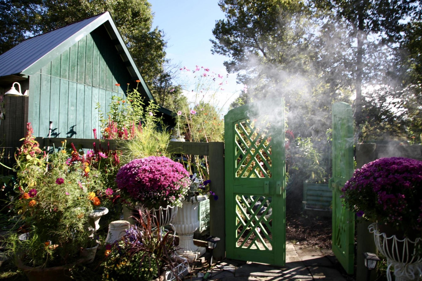 An open green garden gate surrounded by flowers and drifting mist