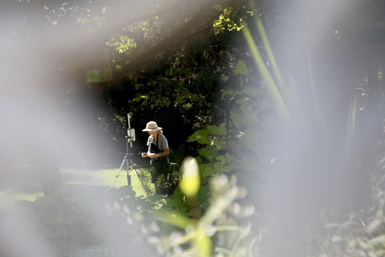 A painter working at an easel, glimpsed through soft foliage and haze