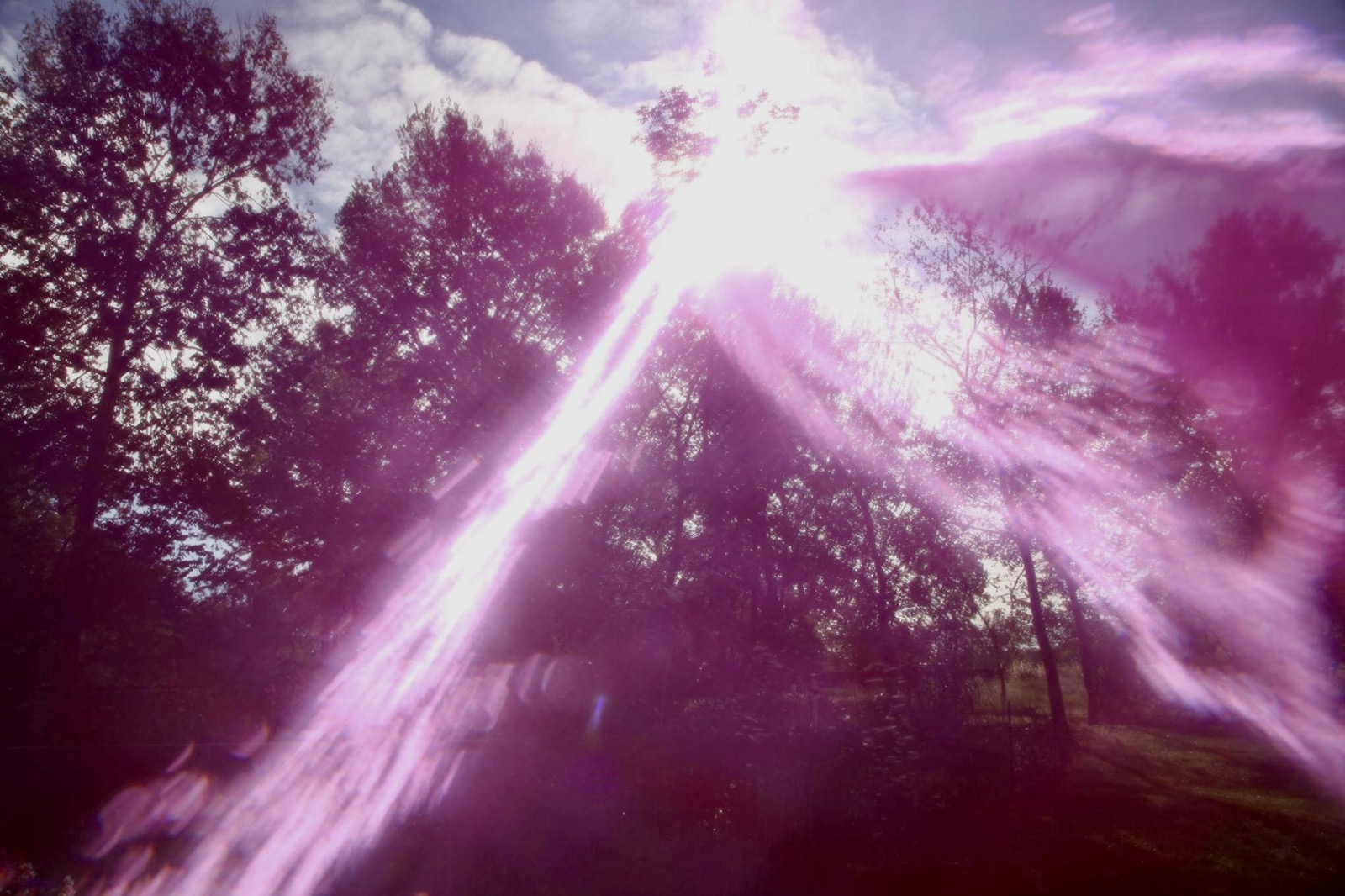 Trees and clouds fractured by vivid magenta beams of light