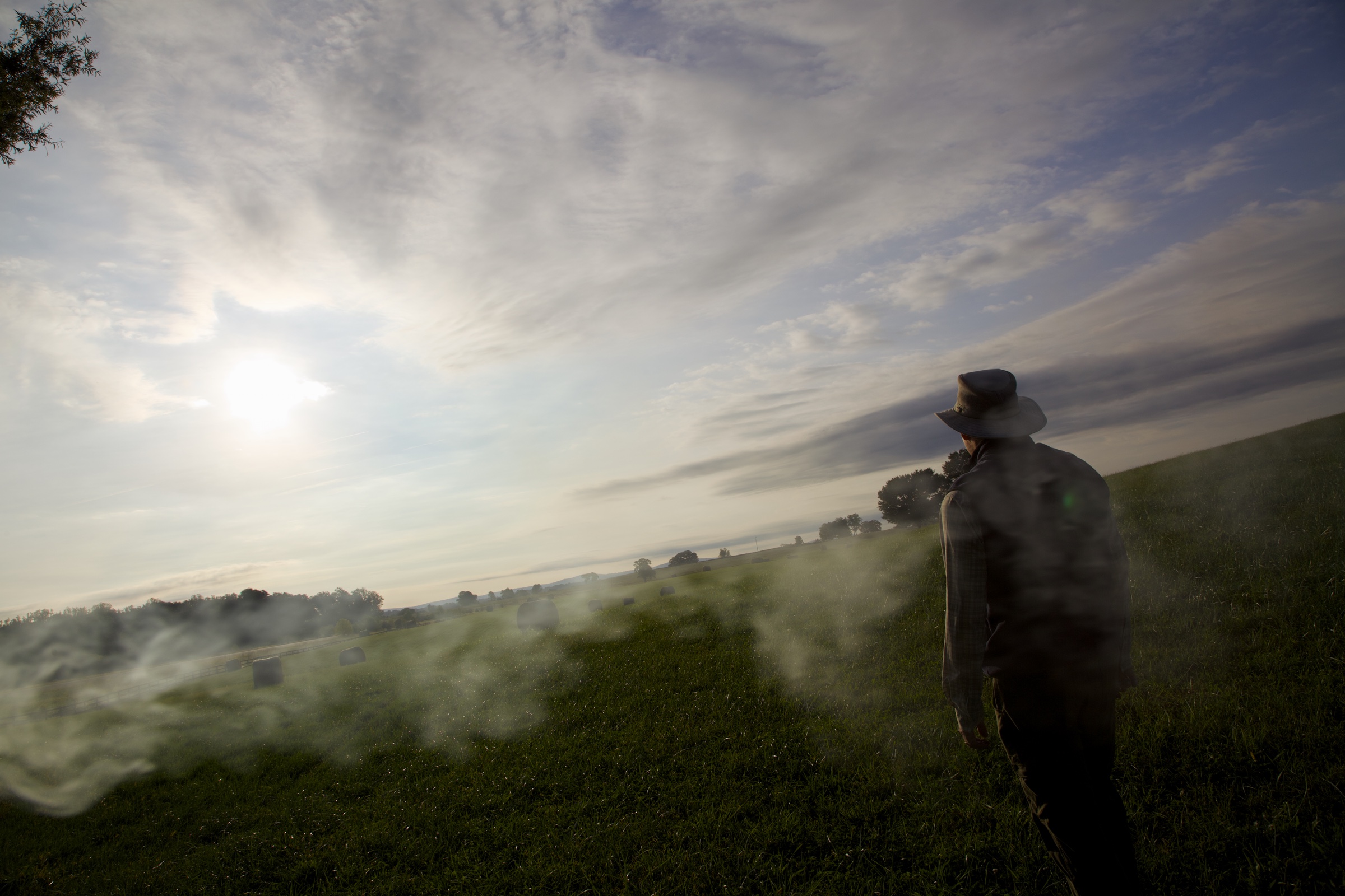 A figure in a wide-brimmed hat walking through a sunlit field, seen through drifting haze