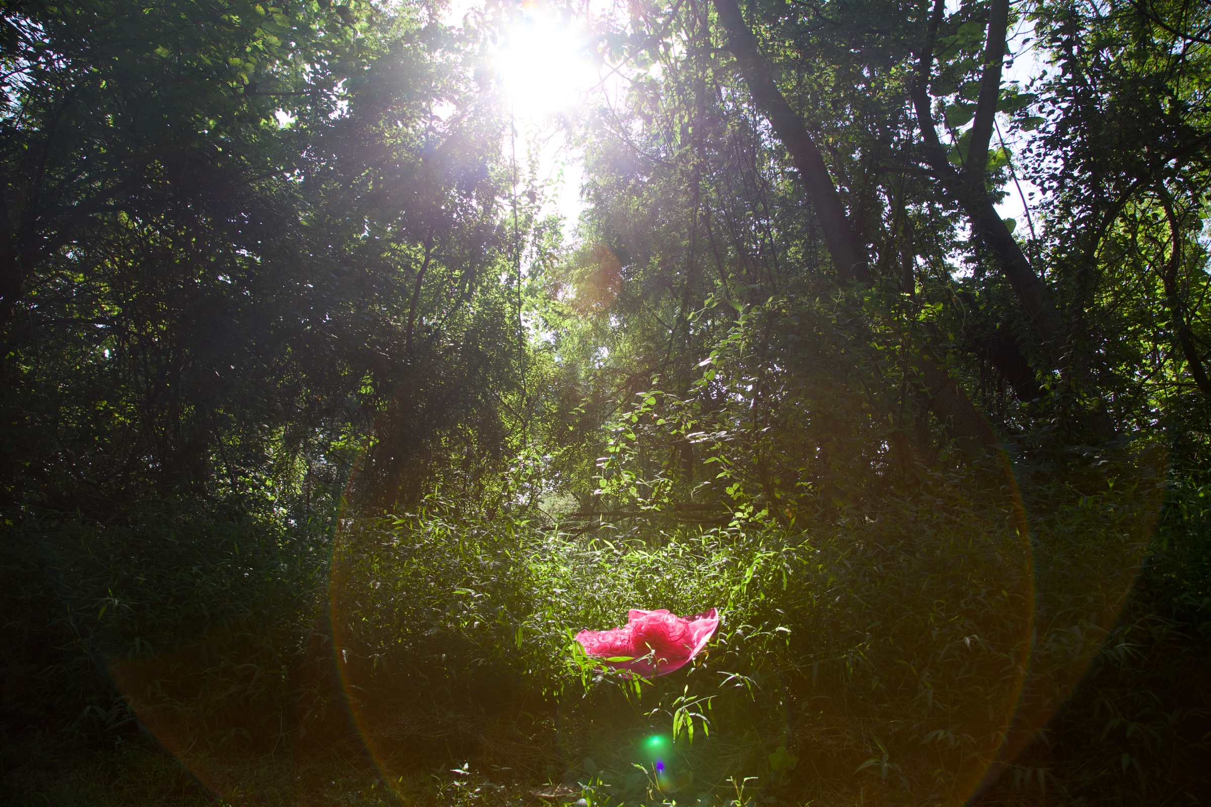 A bright pink inflatable form resting in dense green woodland beneath shafts of sunlight